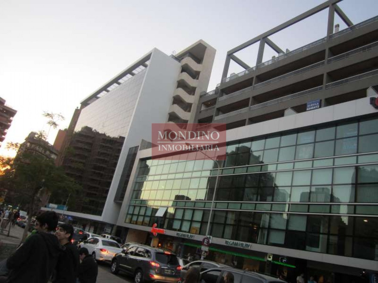 ALQUILO DPTO. SAN LORENZO 40 5 - Nueva Cordoba