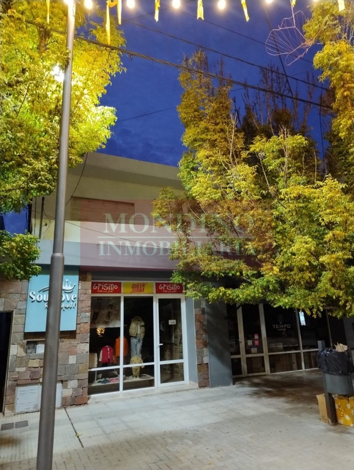 PH independiente de 2 dormitorios con terraza y balcon.-