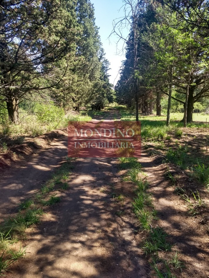 Oportunidad Lote en las sierras de Cordoba 